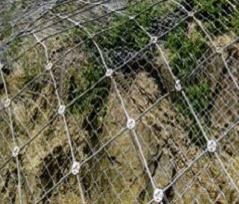 SNS���ӷ��oϵ�y